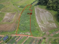 경매마당 공매정보 2016-122015-031의 시세, 권리분석, 상세정보