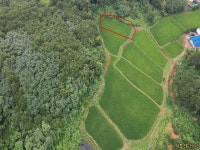 경매마당 공매정보 2020-081920-546의 시세, 권리분석, 상세정보