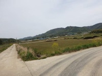 경매마당 공매정보 2021-00955-057의 시세, 권리분석, 상세정보