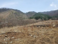 경매마당 공매정보 2021-11259-002의 시세, 권리분석, 상세정보