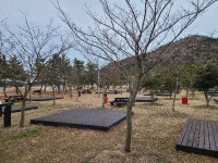경매마당 공매정보 2022-0500-021311의 시세, 권리분석, 상세정보