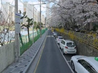 경매마당 공매정보 2022-0900-042870의 시세, 권리분석, 상세정보