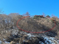 2023-0205-1139 | 경매마당 공매정보 '2022-11317-001'의 시세, 권리분석, 상세정보