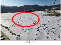 2023-0205-1136 | 경매마당 공매정보 '2022-11338-012'의 시세, 권리분석, 상세정보