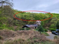 경매마당 공매정보 2023-02767-001의 시세, 권리분석, 상세정보