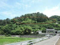 경매마당 공매정보 '2023-02828-010'의 시세, 권리분석, 상세정보
