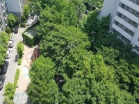 경매마당 공매정보 '2023-03322-001'의 시세, 권리분석, 상세정보