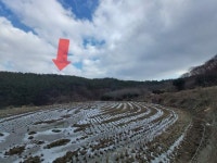 경매마당 공매정보 2023-03710-036의 시세, 권리분석, 상세정보