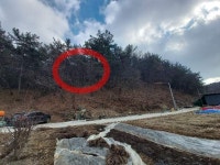 경매마당 공매정보 2023-03710-036의 시세, 권리분석, 상세정보