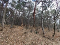 경매마당 공매정보 2023-03710-036의 시세, 권리분석, 상세정보