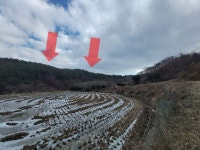 경매마당 공매정보 2023-03710-036의 시세, 권리분석, 상세정보