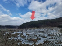 경매마당 공매정보 2023-03710-036의 시세, 권리분석, 상세정보