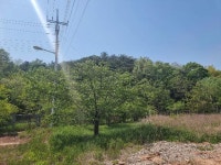 경매마당 공매정보 '2023-03744-001'의 시세, 권리분석, 상세정보
