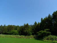경매마당 공매정보 '2023-03750-023'의 시세, 권리분석, 상세정보