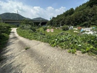 경매마당 공매정보 '2023-09286-001'의 시세, 권리분석, 상세정보