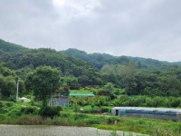 2023-0205-0988 | 경매마당 공매정보 '2023-09497-001'의 시세, 권리분석, 상세정보