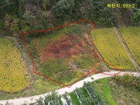 경매마당 공매정보 2023-101955-850의 시세, 권리분석, 상세정보