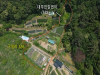 경매마당 공매정보 2023-102556-291의 시세, 권리분석, 상세정보