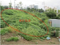 2024-0202-1078 | 경매마당 공매정보 '2023-10736-004'의 시세, 권리분석, 상세정보