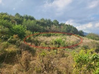 경매마당 공매정보 '2023-11559-001'의 시세, 권리분석, 상세정보