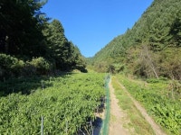 경매마당 공매정보 2023-12152-001의 시세, 권리분석, 상세정보