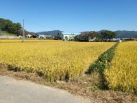 경매마당 공매정보 2023-12933-001의 시세, 권리분석, 상세정보