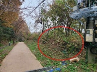 경매마당 공매정보 '2023-12983-002'의 시세, 권리분석, 상세정보