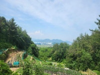 경매마당 공매정보 '2023-13190-001'의 시세, 권리분석, 상세정보