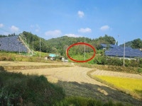 2023-0205-1350 | 경매마당 공매정보 '2023-13531-001'의 시세, 권리분석, 상세정보