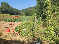 2023-0205-1350 | 경매마당 공매정보 '2023-13531-001'의 시세, 권리분석, 상세정보