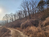 경매마당 공매정보 2023-13974-001의 시세, 권리분석, 상세정보