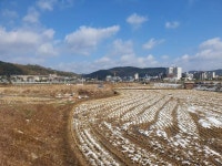 경매마당 공매정보 '2023-14353-001'의 시세, 권리분석, 상세정보