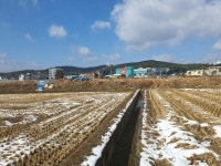 경매마당 공매정보 '2023-14353-001'의 시세, 권리분석, 상세정보