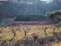 경매마당 공매정보 2023-14816-003의 시세, 권리분석, 상세정보