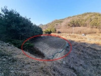 경매마당 공매정보 '2023-14816-003'의 시세, 권리분석, 상세정보
