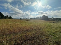 경매마당 공매정보 2023-15554-001의 시세, 권리분석, 상세정보