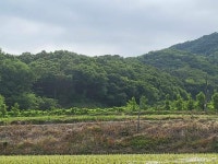 2023-0205-1606 | 경매마당 공매정보 '2023-16017-004'의 시세, 권리분석, 상세정보