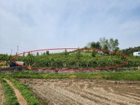 경매마당 공매정보 2024-01640-005의 시세, 권리분석, 상세정보