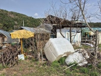 경매마당 공매정보 2024-01746-001의 시세, 권리분석, 상세정보