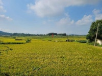 경매마당 공매정보 2024-01900-002의 시세, 권리분석, 상세정보