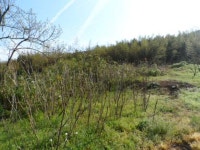 경매마당 공매정보 2024-01940-002의 시세, 권리분석, 상세정보