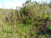 경매마당 공매정보 2024-01940-002의 시세, 권리분석, 상세정보