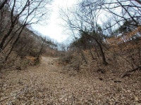 경매마당 공매정보 2024-02039-001의 시세, 권리분석, 상세정보