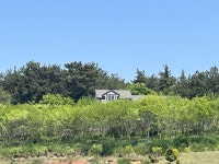 경매마당 공매정보 2024-02135-001의 시세, 권리분석, 상세정보