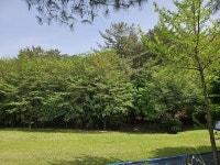 경매마당 공매정보 2024-02361-001의 시세, 권리분석, 상세정보