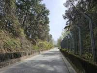 경매마당 공매정보 2024-02459-001의 시세, 권리분석, 상세정보