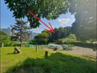 경매마당 공매정보 2024-02624-001의 시세, 권리분석, 상세정보