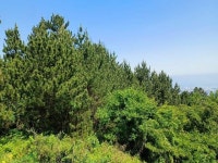 경매마당 공매정보 2024-02708-001의 시세, 권리분석, 상세정보