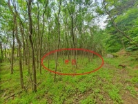 경매마당 공매정보 2024-02798-001의 시세, 권리분석, 상세정보