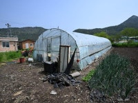 경매마당 공매정보 2024-02842-001의 시세, 권리분석, 상세정보